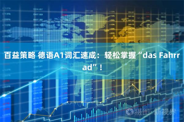 百益策略 德语A1词汇速成：轻松掌握“das Fahrrad”！