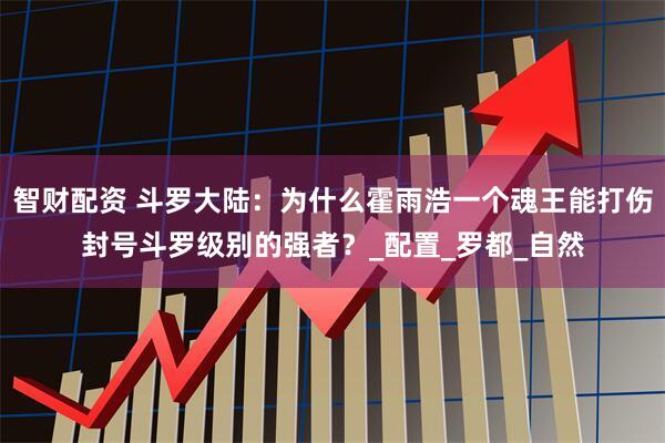 智财配资 斗罗大陆：为什么霍雨浩一个魂王能打伤封号斗罗级别的强者？_配置_罗都_自然