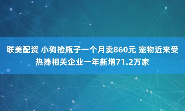 联美配资 小狗捡瓶子一个月卖860元 宠物近来受热捧相关企业一年新增71.2万家