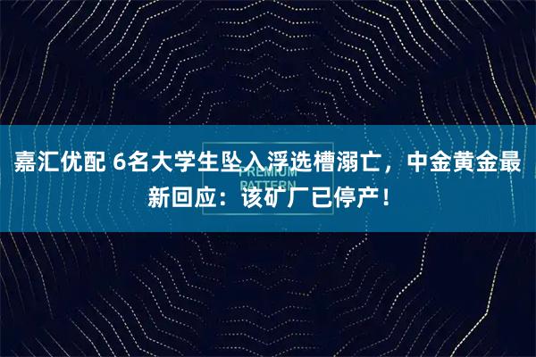 嘉汇优配 6名大学生坠入浮选槽溺亡，中金黄金最新回应：该矿厂已停产！